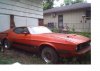 stang.jpg