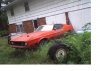 stang2.jpg