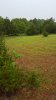 20180515_115046.jpg
