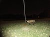 DSC08113.JPG