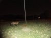 DSC08112.JPG
