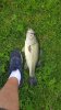 20180622_110326.jpg