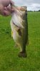20180622_110534.jpg