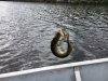 Image1530824735.727749.jpg