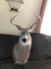 IMG_1842.JPEG