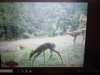 20180708_180716.jpg