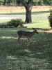 IMG_1677.jpg