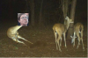 upload_2018-7-18_15-28-55.png