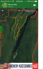 For Swamp 2.png