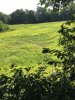 IMG_4599.JPG