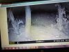 20180808_165457.jpg