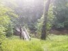20180809_064932.jpg