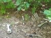 20180809_105431.jpg