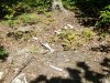 20180809_105435.jpg