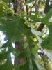 20180810_090157.jpg