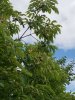20180812_095904.jpg