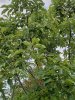 20180812_095859.jpg