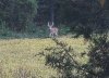 20171013_203756.jpg