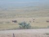 IMG_20170818_201033.jpg