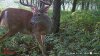 received_321269701777320.jpeg