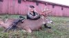 deb idnr buck 1.jpg