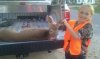 chloe first deer..jpg