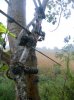DSCN2399.jpg