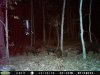 game cam 045.jpg