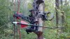 2011-10-08_07-15-55_890.jpg