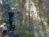 bowtech-tree.jpg