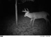 8 point.jpg