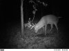 10 point oct.jpg