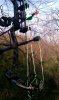 IMAG0331.jpg