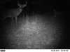10-20-11 corn 5.jpg