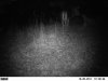 10-20-11 corn3.jpg