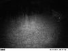 10-21-11 corn 1.jpg
