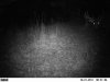 10-21-11 corn 2.jpg