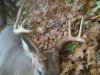 2011 Buck On Ground.jpg