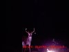 pireway%20deer%20096.jpg
