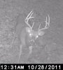 trail cam 01.JPG