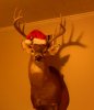 Christmas deer.jpg