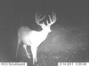 Big 10 trailcam brightened.jpg