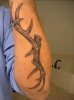 tattoo 002.jpg