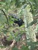 Image1535800955.035925.jpg