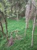Image1536429811.169606.jpg