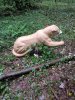 IMG_20180908_113815.jpg