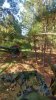 tmpPhoto_optimized.jpg