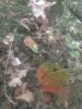IMG_20180909_195020003.jpg