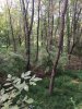 Image1537037622.985779.jpg