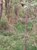 Image1537041458.752165.jpg